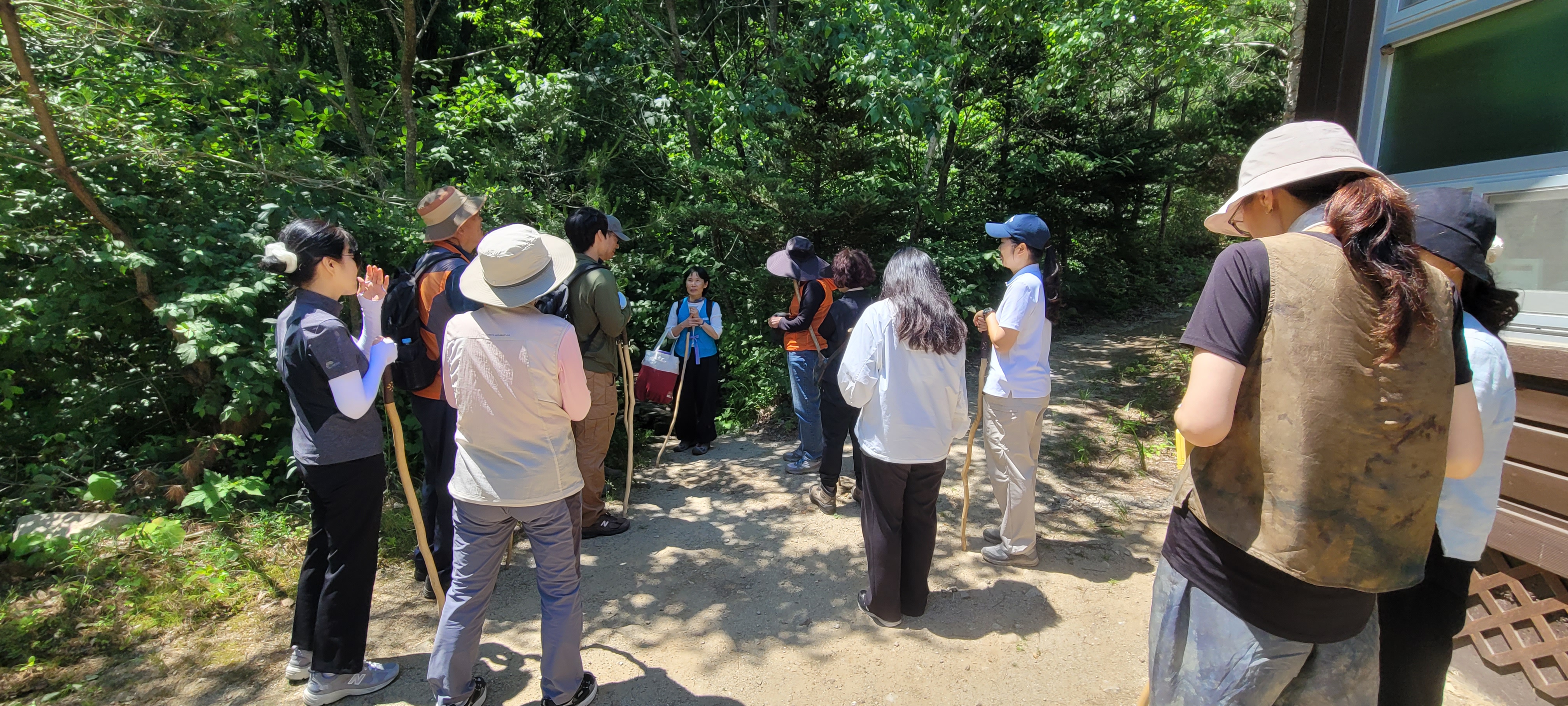 산림치유