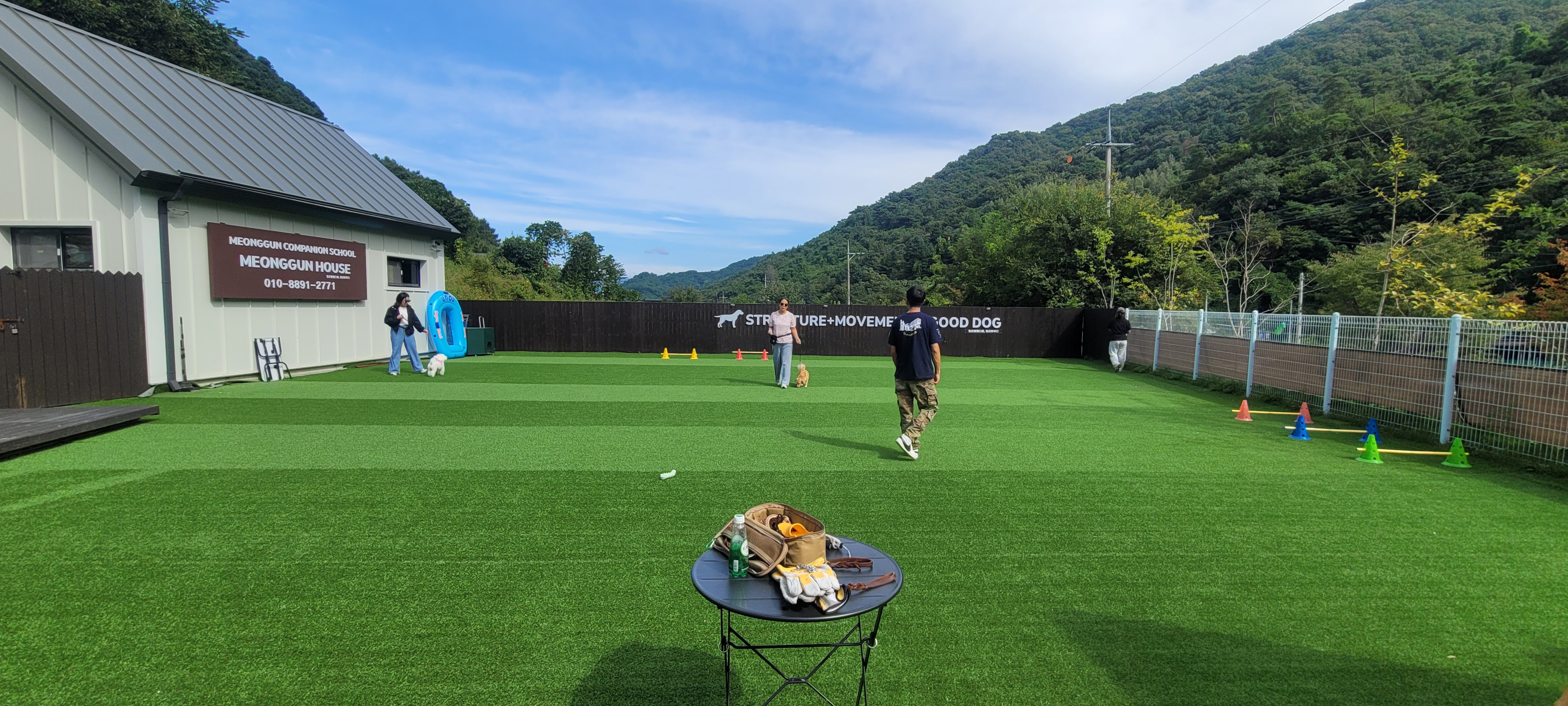 반려견 산책교육 1day 클래스